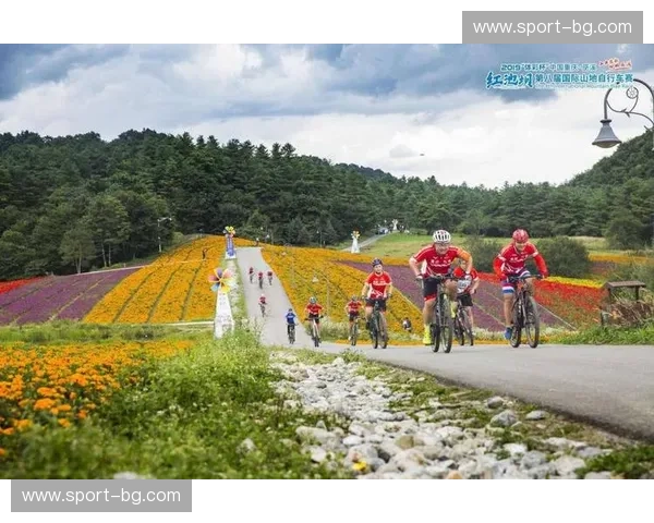 开云体育客户端——体育爱好者的全新体验平台